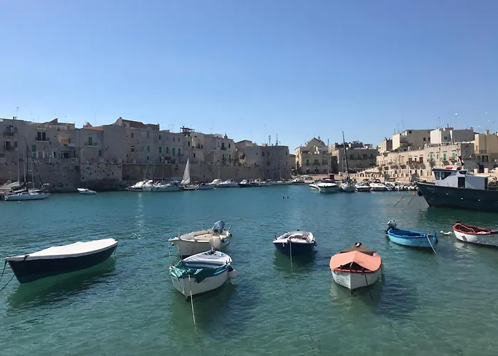 Le Maioliche