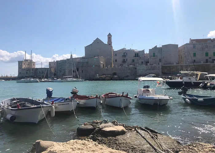 Le Maioliche